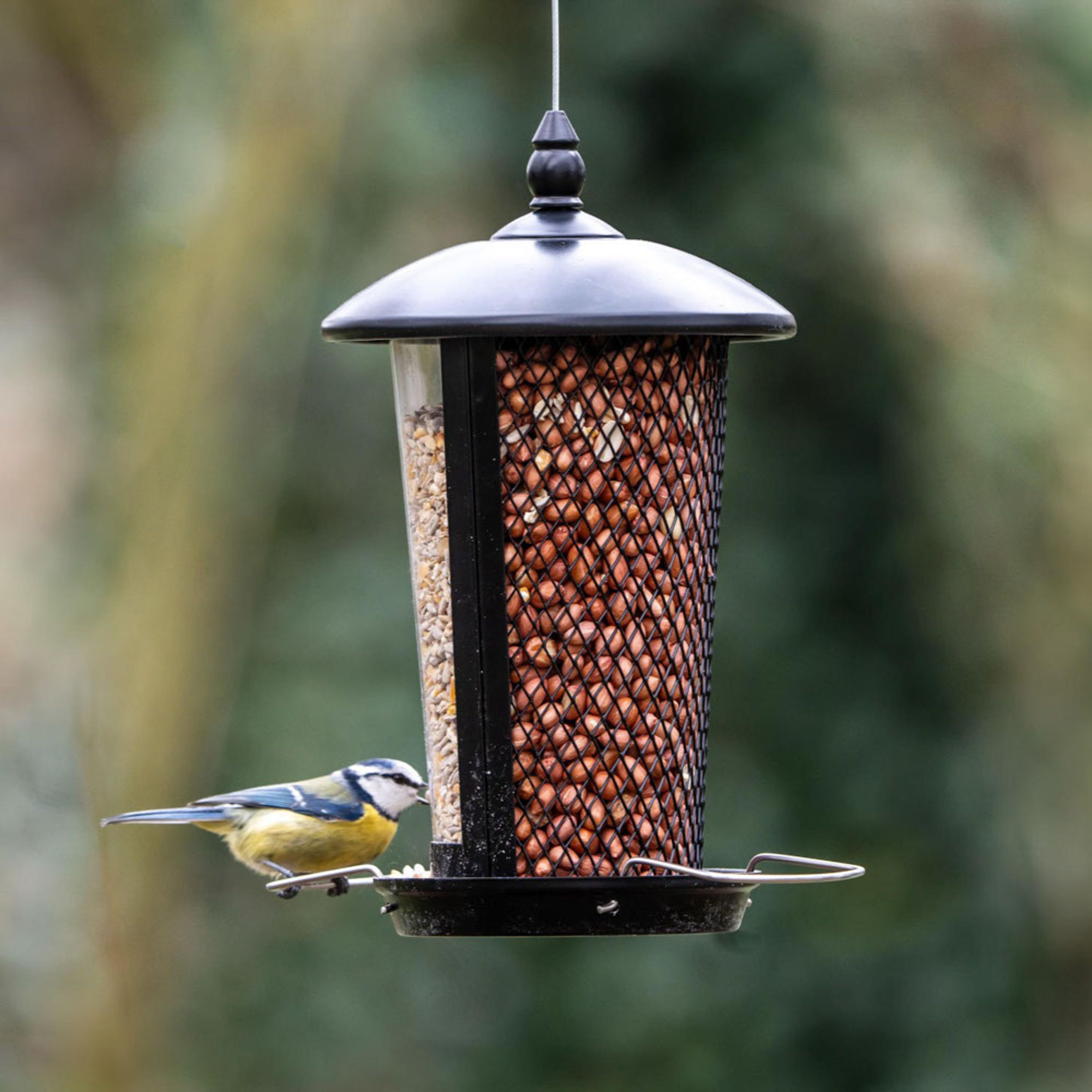 2-in-1 Futtersäule Evia - schwarz | CJ Wildlife